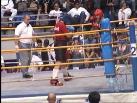 Women +70kg Low Kick (WAKO Kickboxing World Championships, Belgrad 2007)