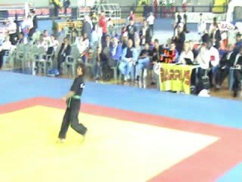 Wako World Kickboxing Championship 2008