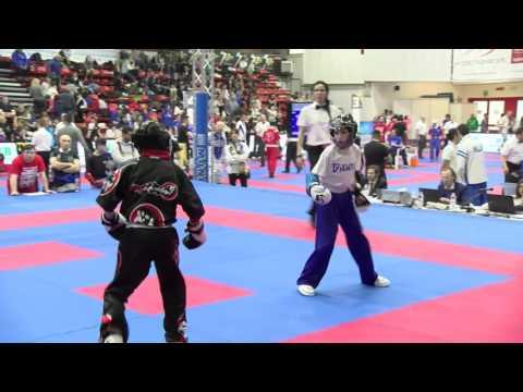 Wolf V Petrucci Pointfighting Cup 2016