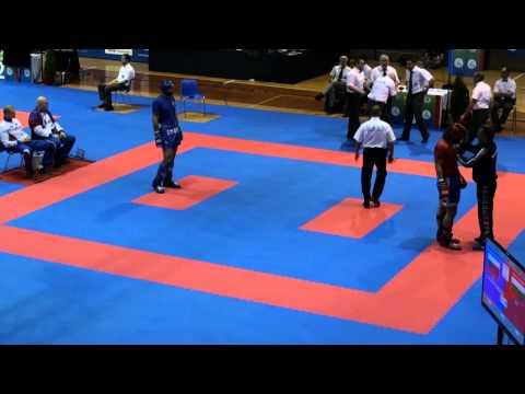 WAKO Kickboxing - EC 2014 - FINALS KL -94kg - Davidov(BUL) - Solovyev(RUS)