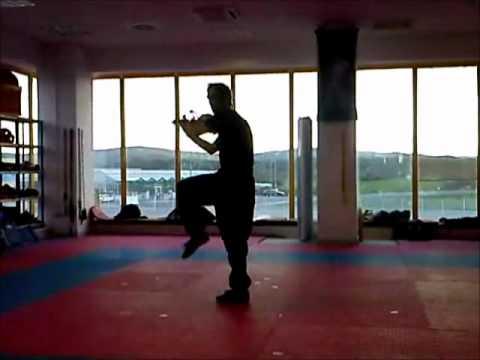 WAKO Musical Form Soft Style With Weapons
