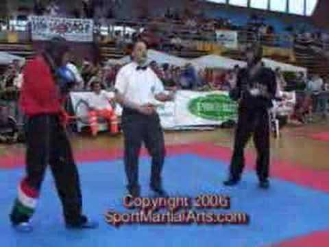 WAKO Lightcontact Kickboxing: Raymond Daniels - Jeno Novak