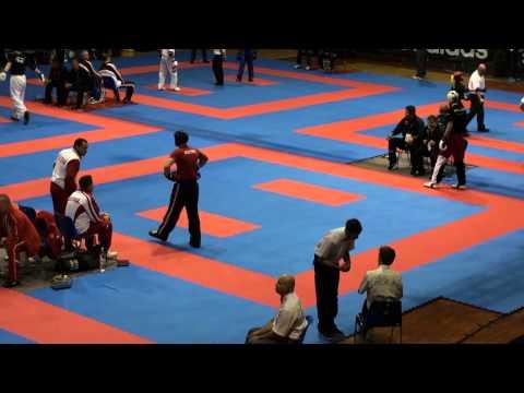 WAKO Kickboxing - EC 2014 - LC -79kg - Gollob(AUT) - Dimitrov(BUL)