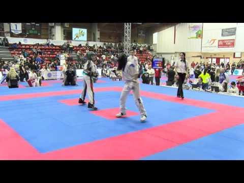 Greece V Italy Pointfighting Cup 2016