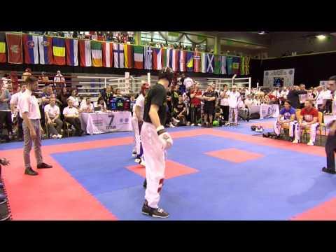 Roman Brundl V Richard Veres Hungarian Kickboxing World Cup 2016