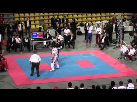 WAKO Kickboxing WC 2011 FINAL: LC -74kg Levente(AUT) Vs Ando(HUN)