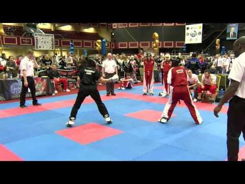 Bestfighter V Team Swiss Irish Open 2016