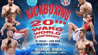 WAKO World Championship Belgrade 2015 - Gala night