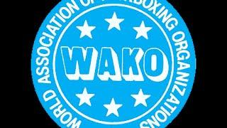 Tatami 2 and 4 WAKO World Championships 2016 Day 2
